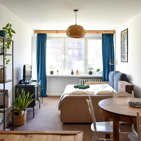 Salamandra - Sudety *