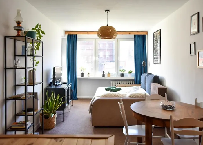 Salamandra - Sudety *